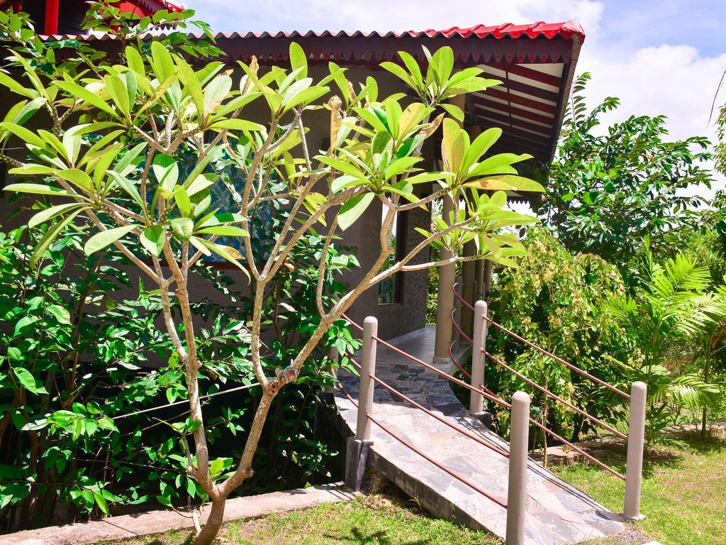 Mass Eco Cabana Yoga & Spa - Unawatuna Kültér fotó