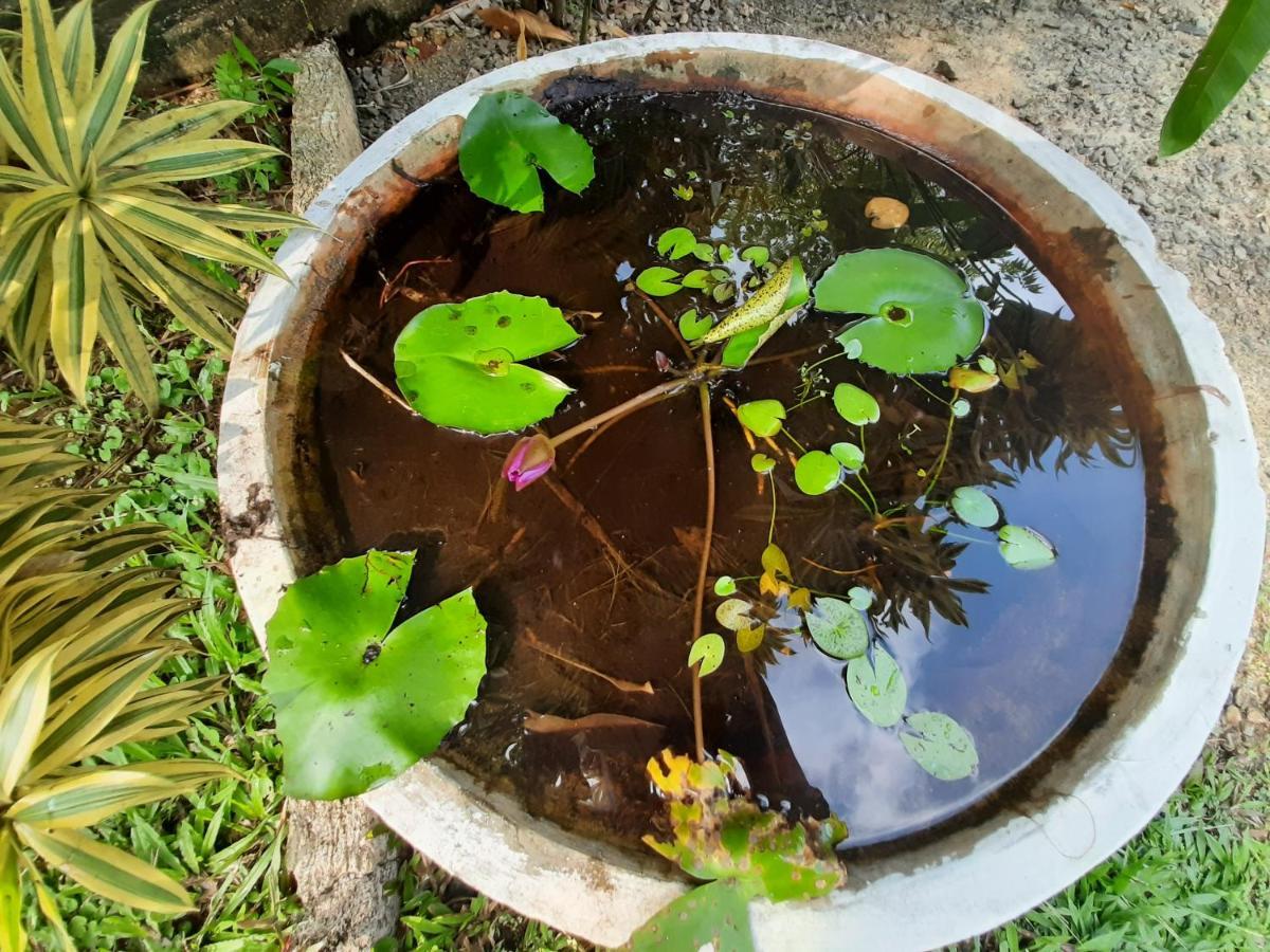 Mass Eco Cabana Yoga & Spa - Unawatuna Kültér fotó