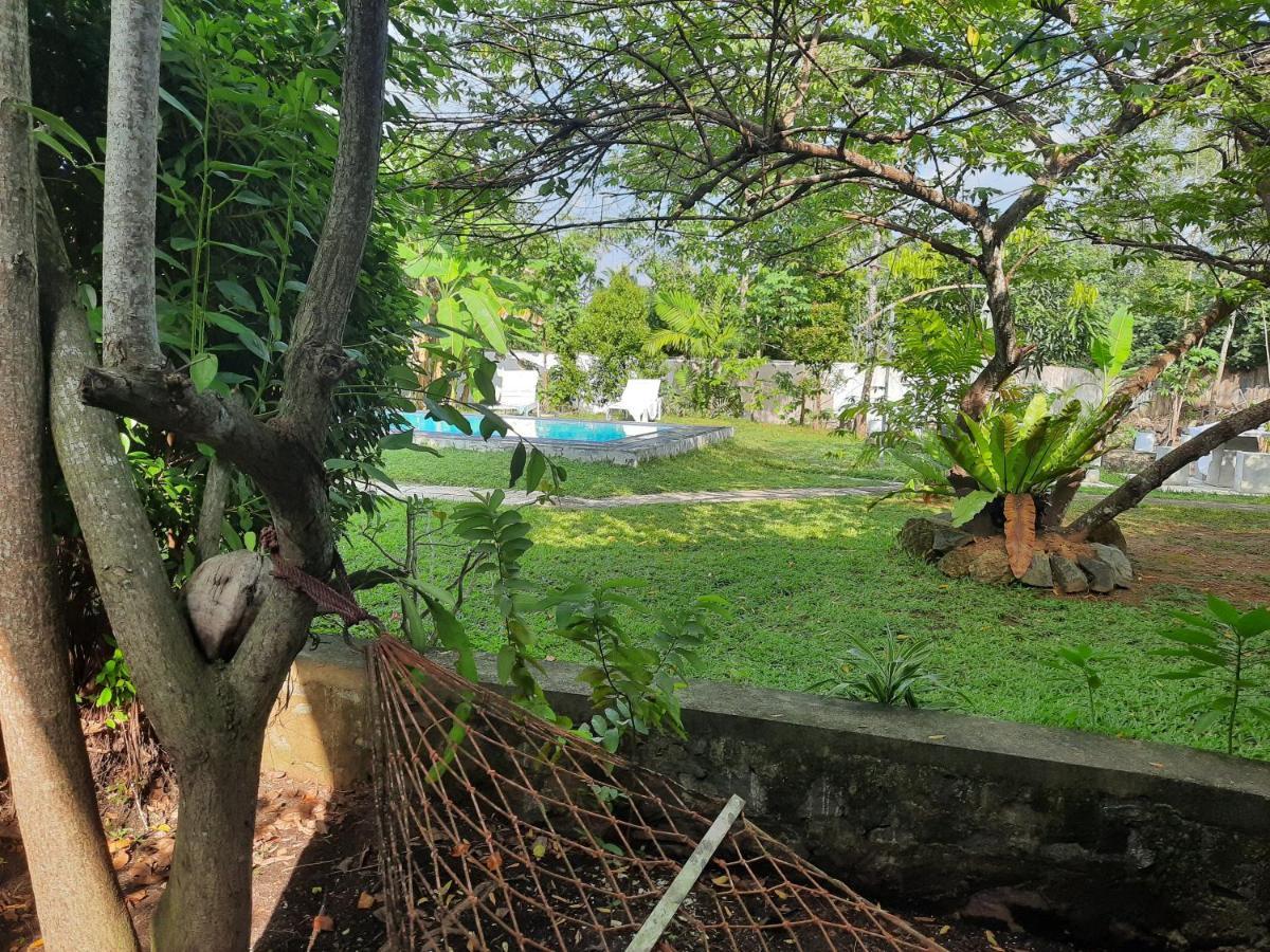 Mass Eco Cabana Yoga & Spa - Unawatuna Kültér fotó